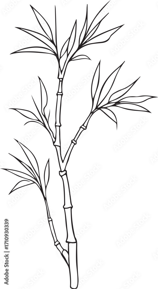 Obraz premium Bamboo Leaves Simple Hand-drawn Doodle Sketch Vector Illustration Linear Line Art Engraving Isolated Black and White