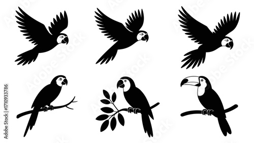 Vector illustration of parrot and toucan silhouettes on branches and flying