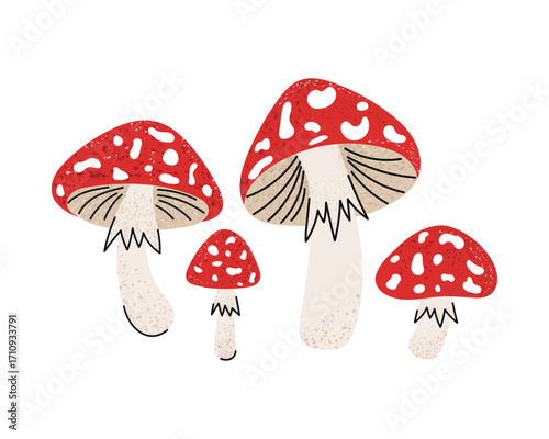 Fly agaric mushrooms. Stylized forest autumn mushrooms.