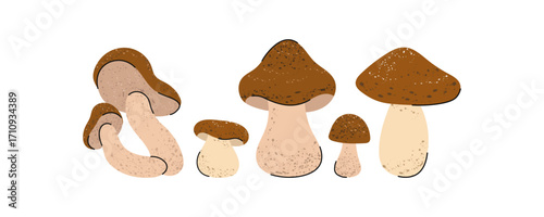 Porcini mushrooms. Stylized forest autumn mushrooms.