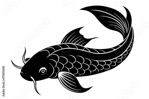 Koi Fish vector art