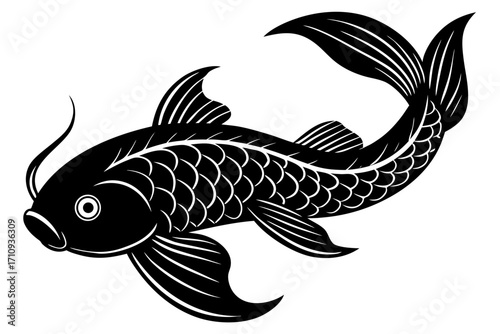 Koi Fish vector art