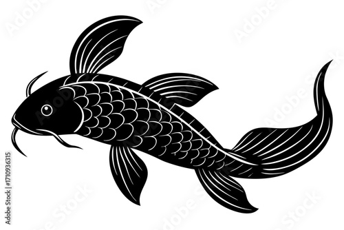 Koi Fish vector art
