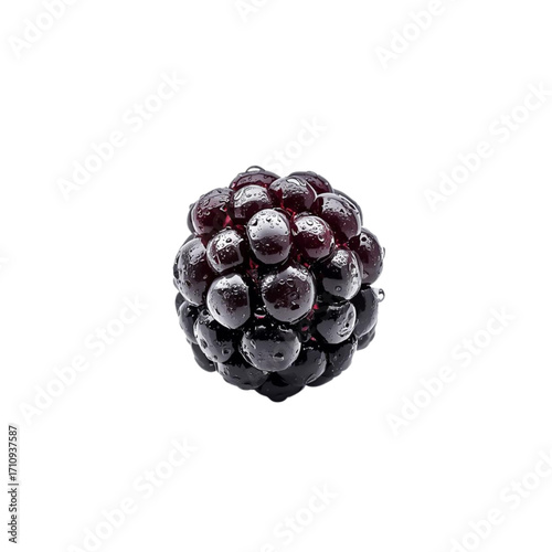 Fresh Ripe Blackberry Isolated on White Background – Natural Organic Berry