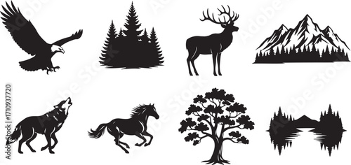 Nature's Majesty A Silhouette Collection of Wildlife, Landscapes and Flora in Black and White Serenity