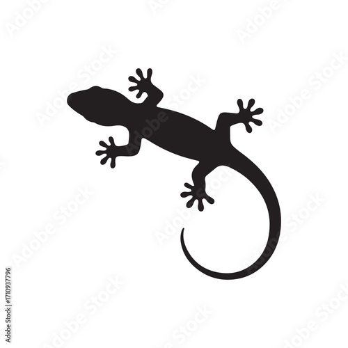 Black silhouette of a gecko lizard isolated on white background