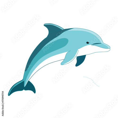 dolphin vector illustration