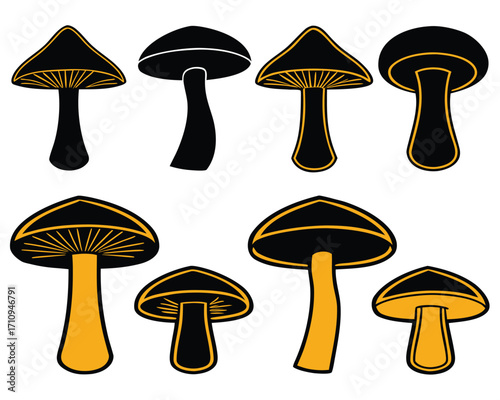 Collection of Illustrated Black and Yellow Mushrooms on White Background for Culinary Designs
