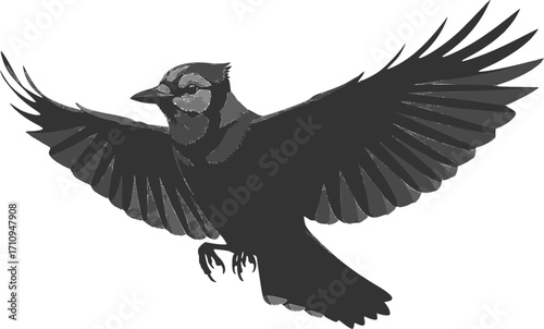 Blue jay silhouette