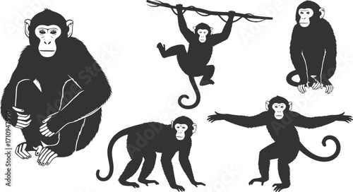 Monkey silhouettes