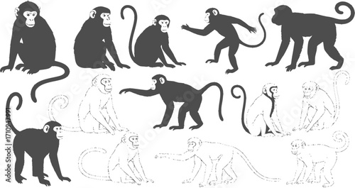 Monkey silhouettes