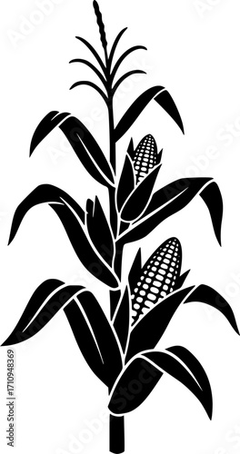 Corn stalk silhouette