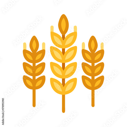 Illustration of golden wheat stalks agriculture farming cereal grains harvest symbol design element