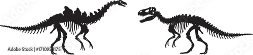 Two dinosaur skeletons facing each other detailed illustration on transparent background
