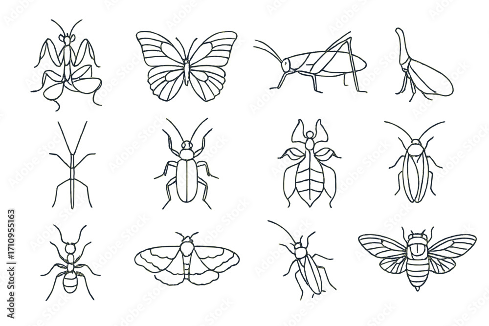 Fototapeta premium Tropical Insect Icons. Line style icons of tropical insects: orchid mantis, blue morpho butterfly, green katydid, lanternfly;