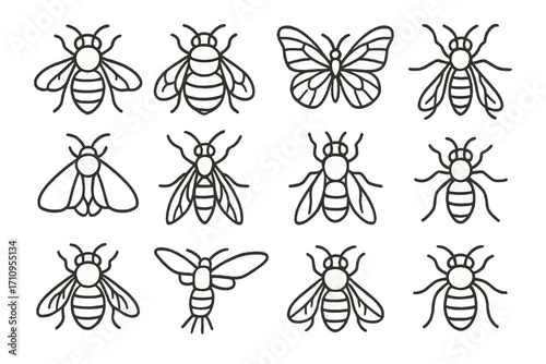 Pollinator Insect Icons. Line style icons of pollinator insects: honeybee, bumblebee, butterfly, hoverfly; moth, wasp, beetle, fly