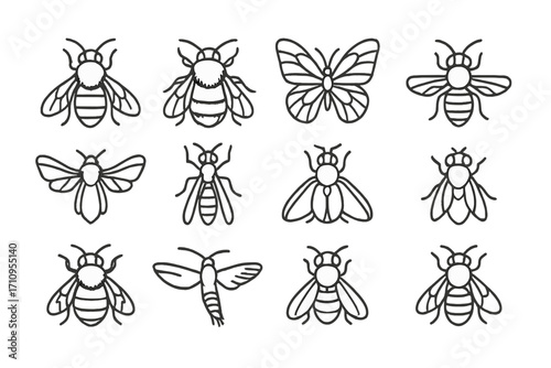 Pollinator Insect Icons. Line style icons of pollinator insects: honeybee, bumblebee, butterfly, hoverfly; moth, wasp, beetle, fly