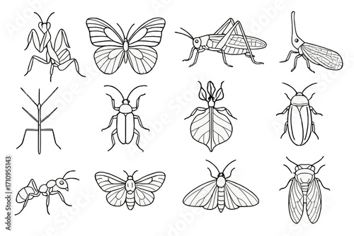 Tropical Insect Icons. Line style icons of tropical insects: orchid mantis, blue morpho butterfly, green katydid, lanternfly;