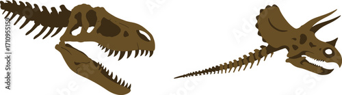 Detailed dinosaur skull and frill illustration perfect for paleontological designs on transparent background