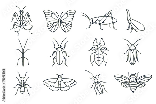 Tropical Insect Icons. Line style icons of tropical insects: orchid mantis, blue morpho butterfly, green katydid, lanternfly;