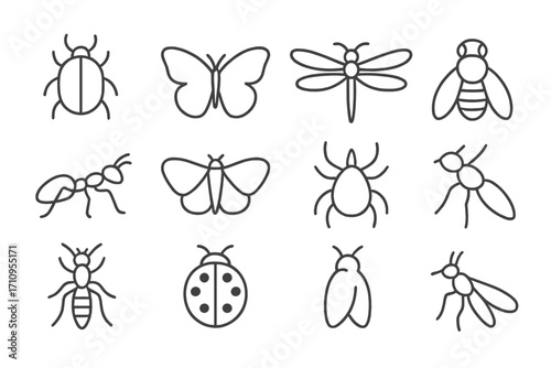 Bug Silhouette Icons. Line style icons of simplified bug silhouettes: beetle outline, butterfly shape, dragonfly contour, bee icon