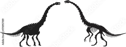 Two black silhouettes of long neck dinosaurs facing each other on transparent background