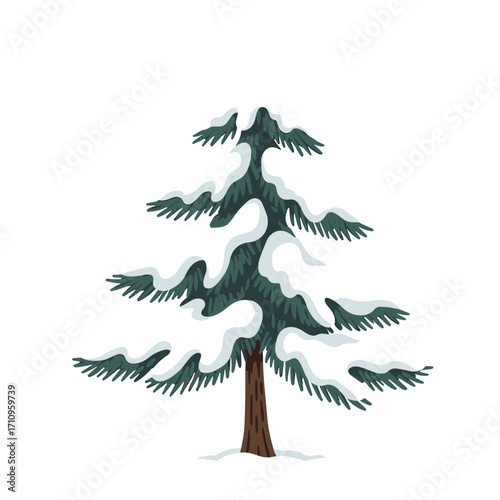 Pine tree covered with snow on transparent background for winter theme