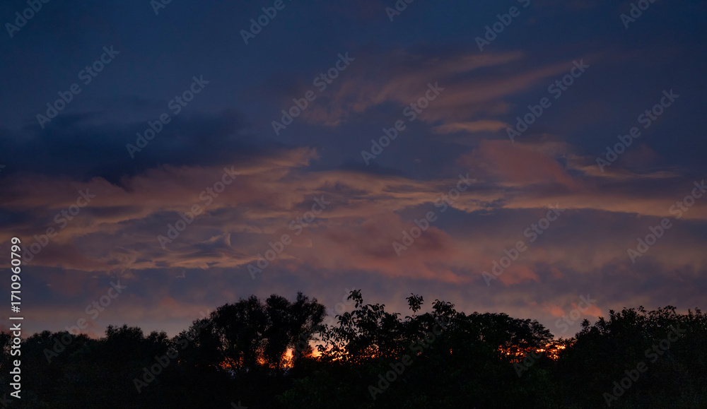 Fototapeta premium Colorful sunset illuminating cloudscape over dark forest silhouette