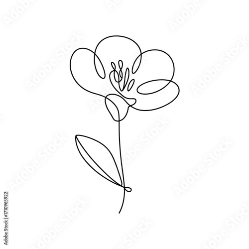 Minimalist single flower line drawing in rgb