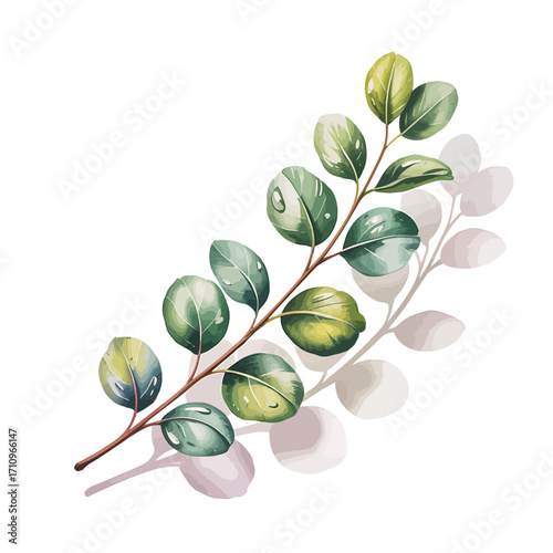 Delicate watercolor illustration with soft hues and gentle forms