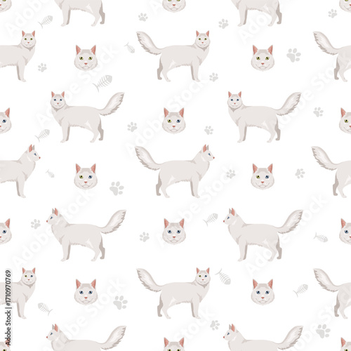 Turkish Angora Cat clipart. All coat colors set.  All cat breeds characteristics infographic. Vector illustration
