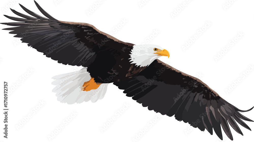 Obraz premium Majestic Eagle Soaring Through the Air: Stunning Wildlife Photography