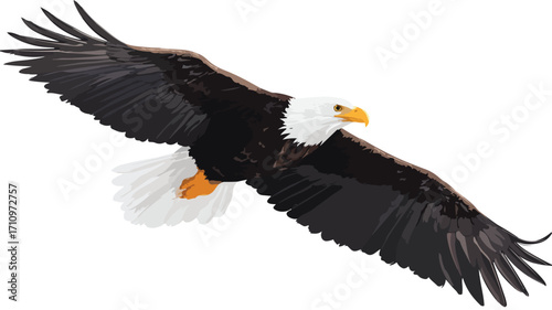 Majestic Eagle Soaring Through the Air: Stunning Wildlife Photography