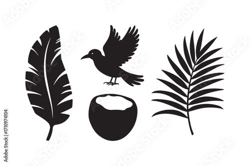 Black silhouette of a bird feather coconut and palm leaf