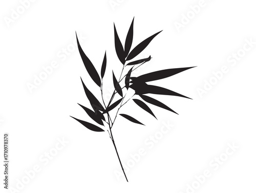 Bamboo leaf silhouette design with slender tropical graceful elegance
