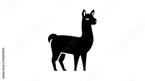 Silhouette of a llama standing upright with a long neck and small tail in black color on white background