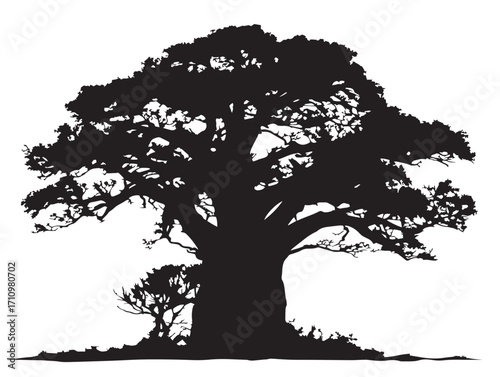 Baobab tree with thick trunk silhouette showing majestic style