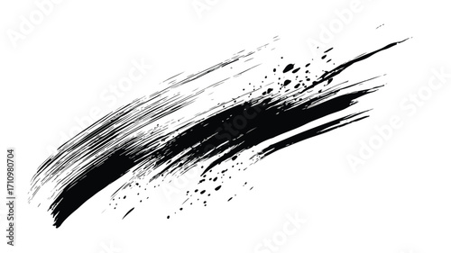 Elegant Black and White Brushstroke Vector Illustration