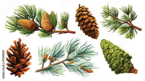 Whimsical Cartoon Pine Cones and Branches in Fir Shell Timber