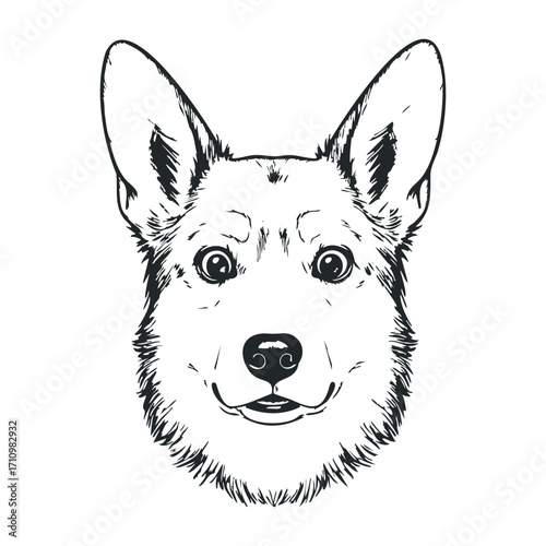 Playful corgi portrait digital illustration animal art cheerful environment pet concept. Vector illustration