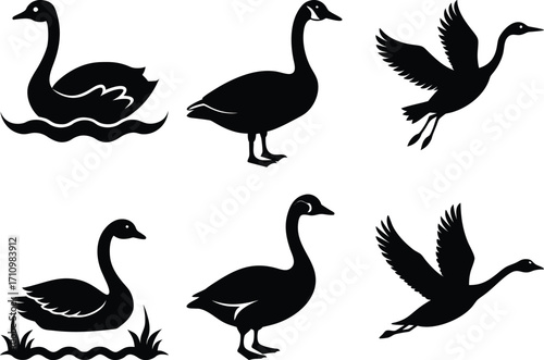 Swan Goose Bird Silhouette Set Elegant Flying Vector