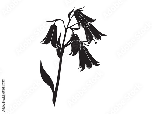 Graceful bluebell flower silhouette artwork with natural elegance