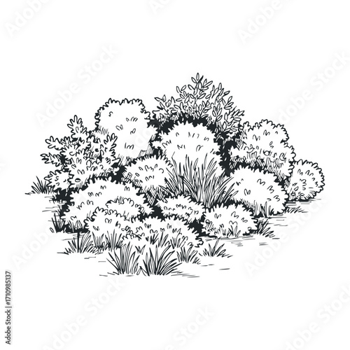 Lush green shrubs in a serene natural landscape illustrative art botanical environment perspective. Vector illustration