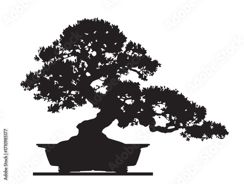 Classic bonsai miniature tree silhouette for natural themed designs