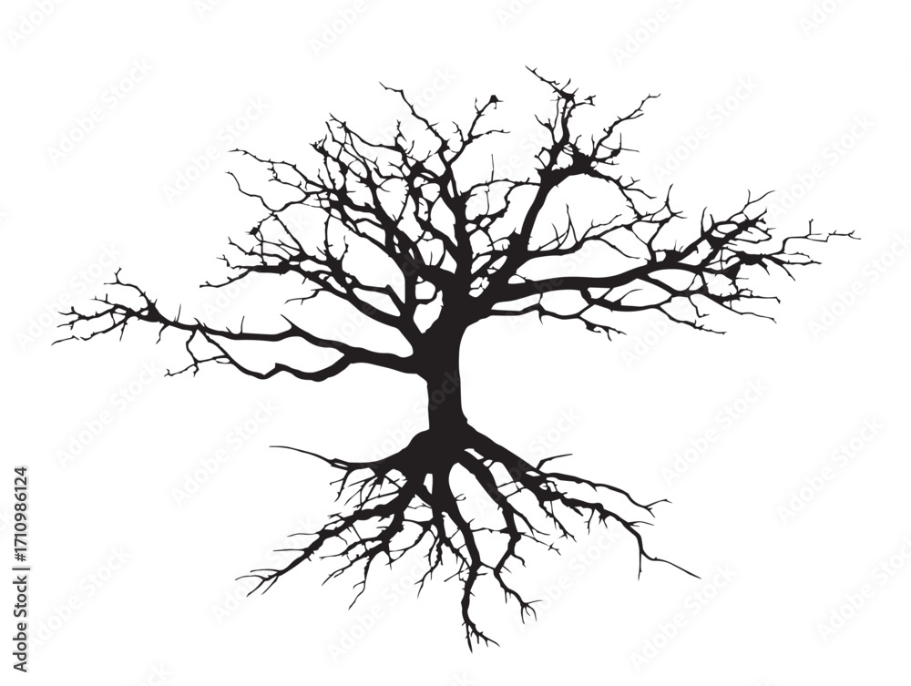 Fototapeta premium Artistic branching taproot silhouette design with natural simplicity