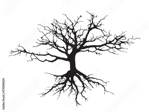 Artistic branching taproot silhouette design with natural simplicity