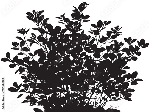 Graceful bush shrub silhouette artwork for creative projects