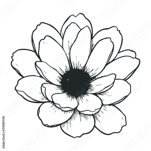 Delicate floral illustration botanical art nature scene minimalist design studio setting serenity and beauty. Vector illustration
