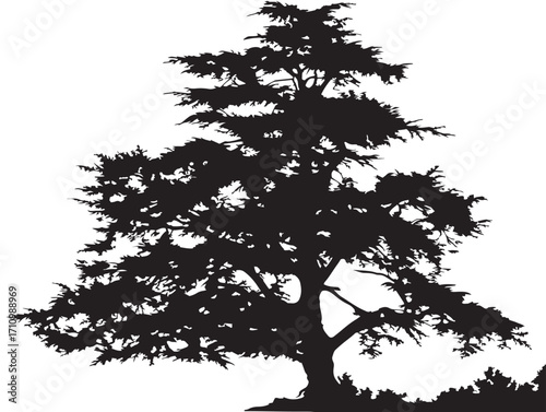 Cedar tree silhouette vector artwork with natural rustic elegance
