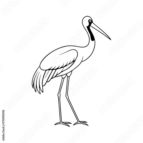 Saddle Billed Stork Outline Vector on White Background